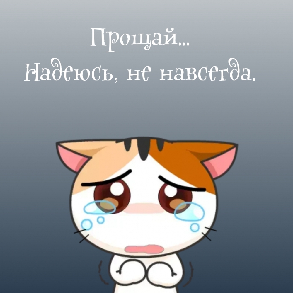 Прощай… Надеюсь, не навсегда.