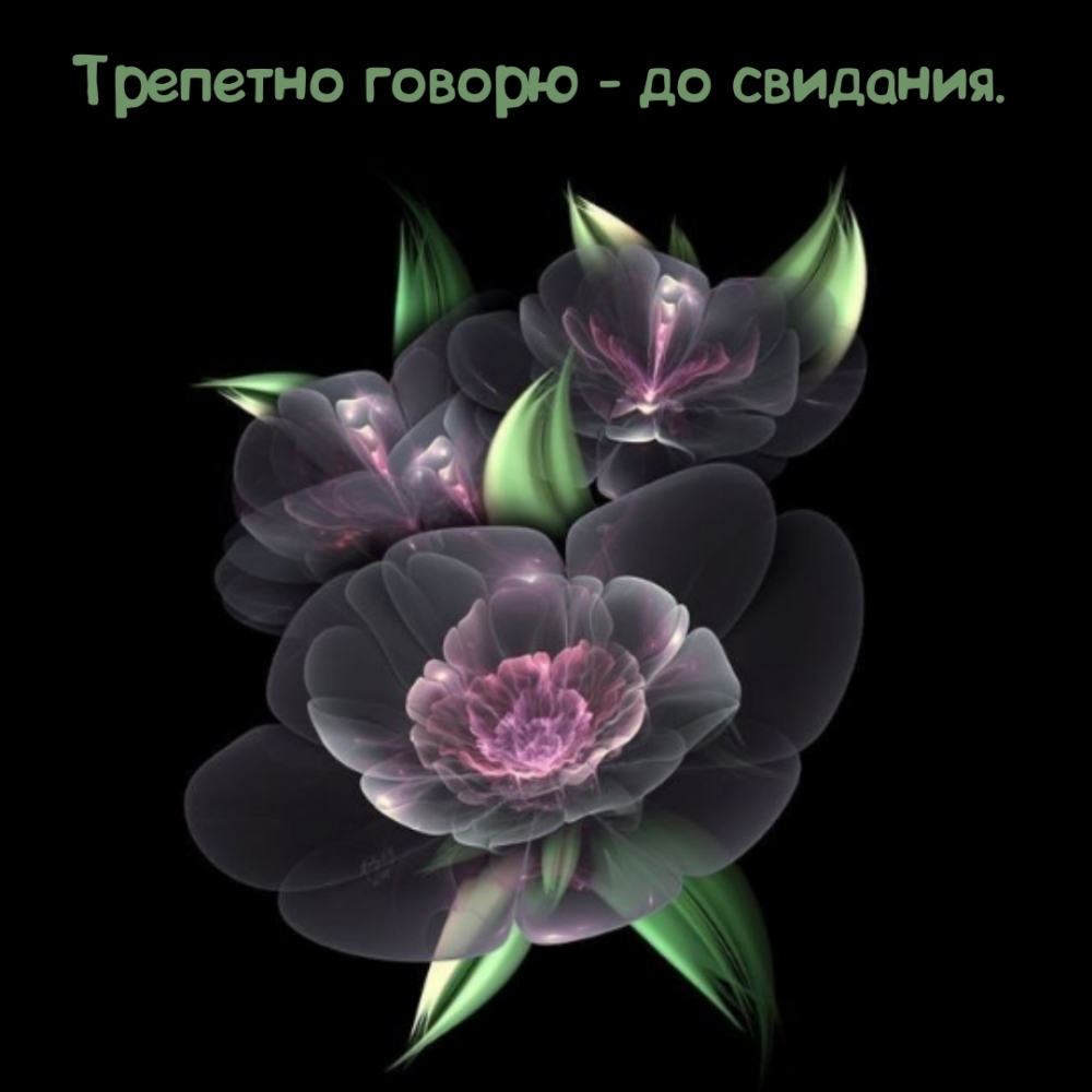 Трепетно говорю — до свидания.