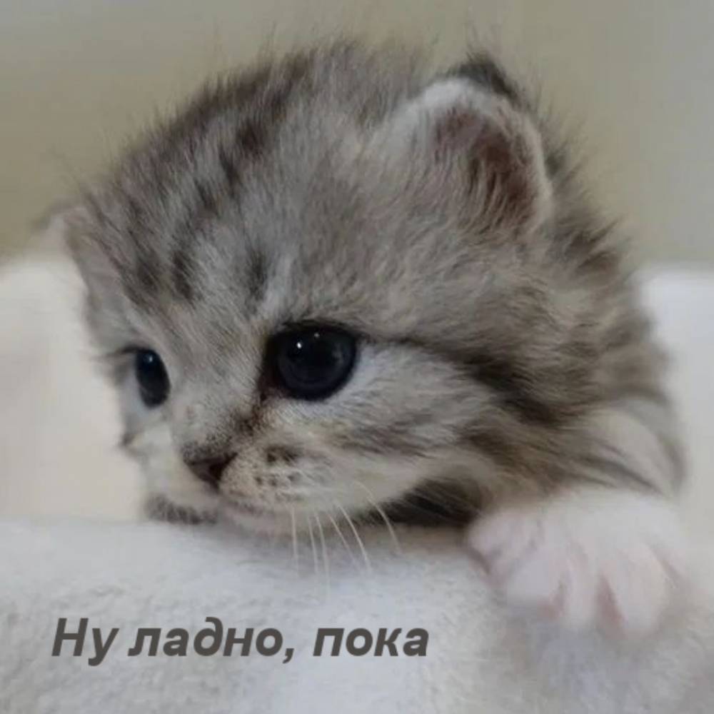 Ну ладно, пока