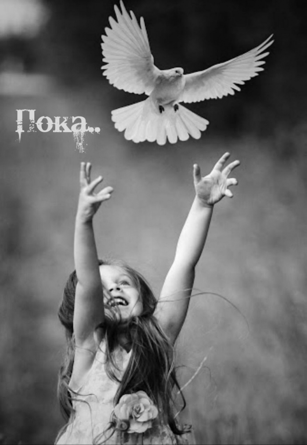 Пока..