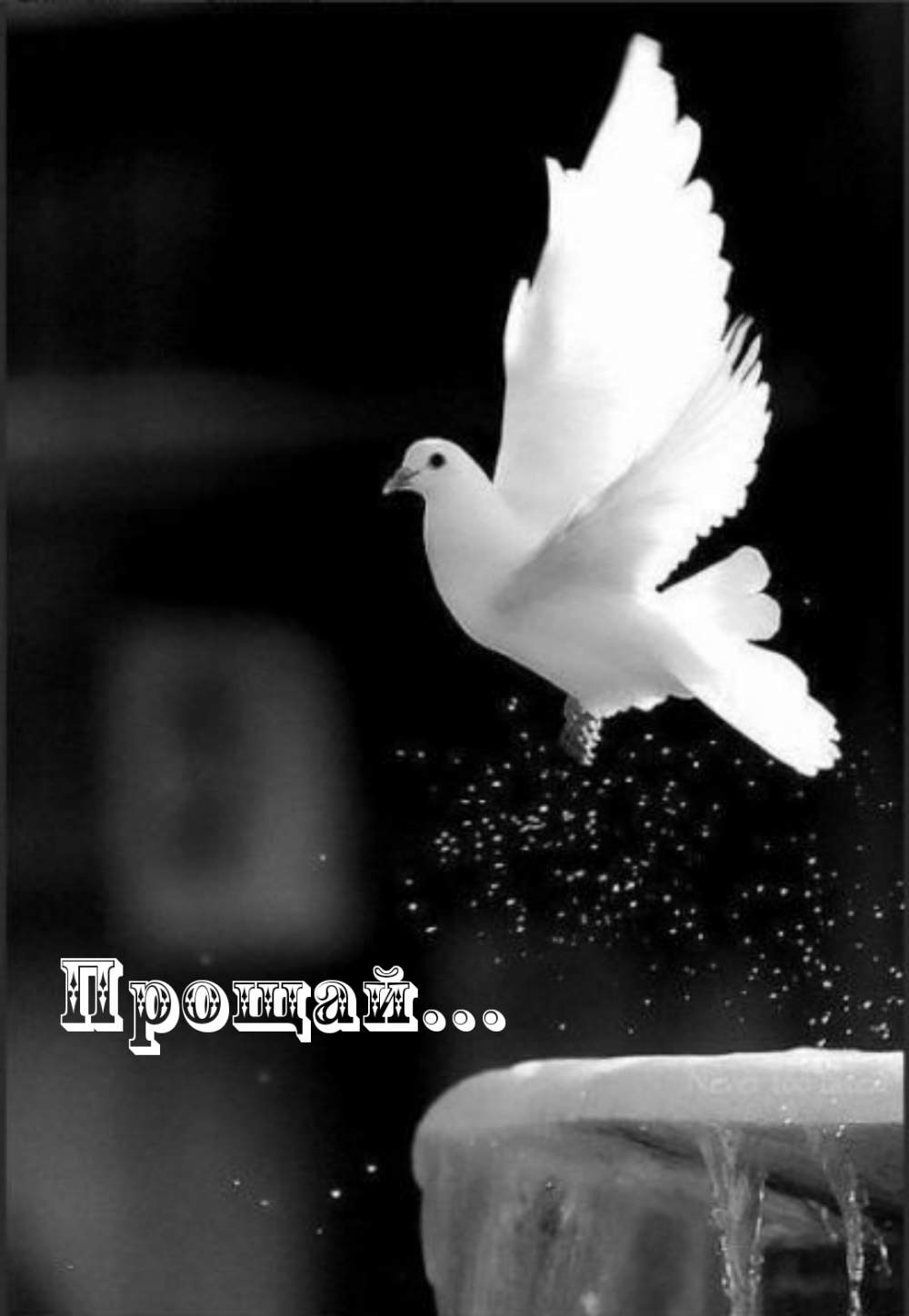 Прощай…