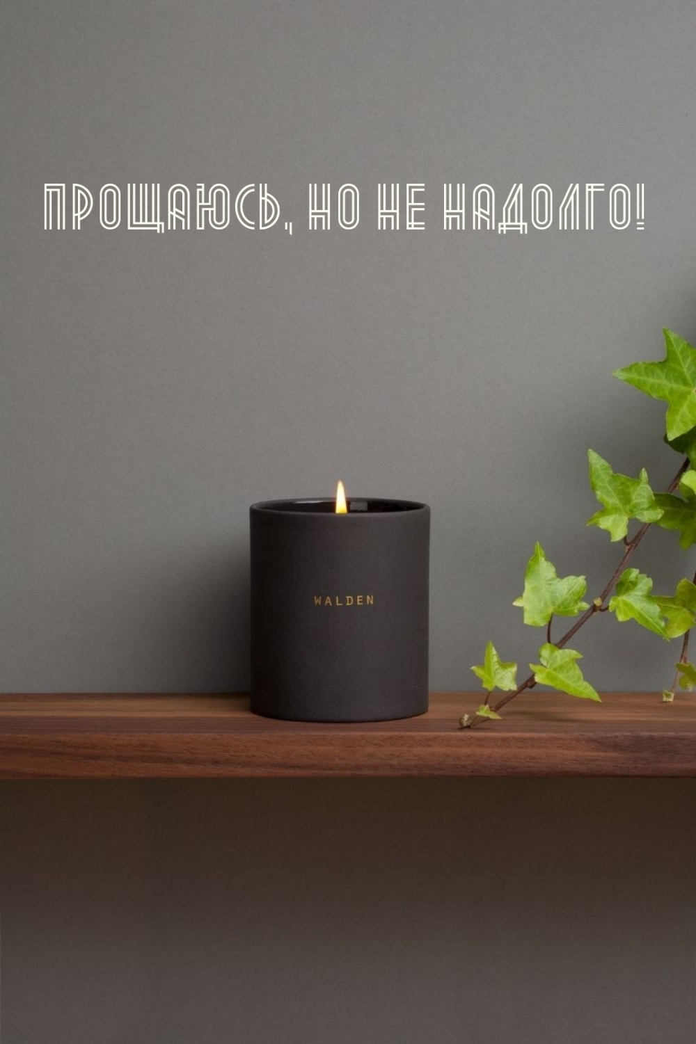 Прощаюсь, но не надолго!