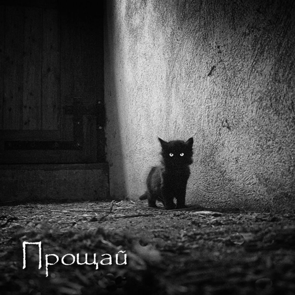 Прощай