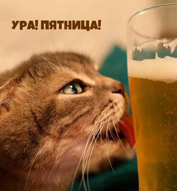 Ура! Пятница!