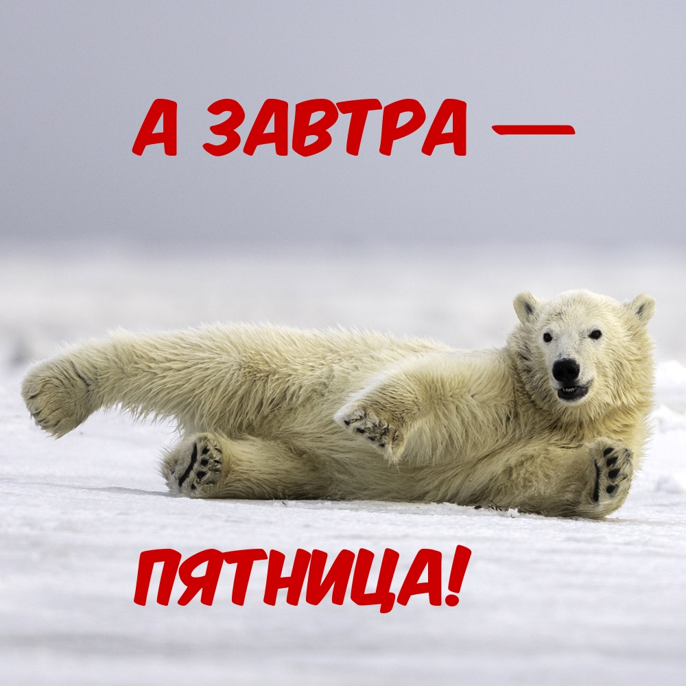 А завтра — ПЯТНИЦА!