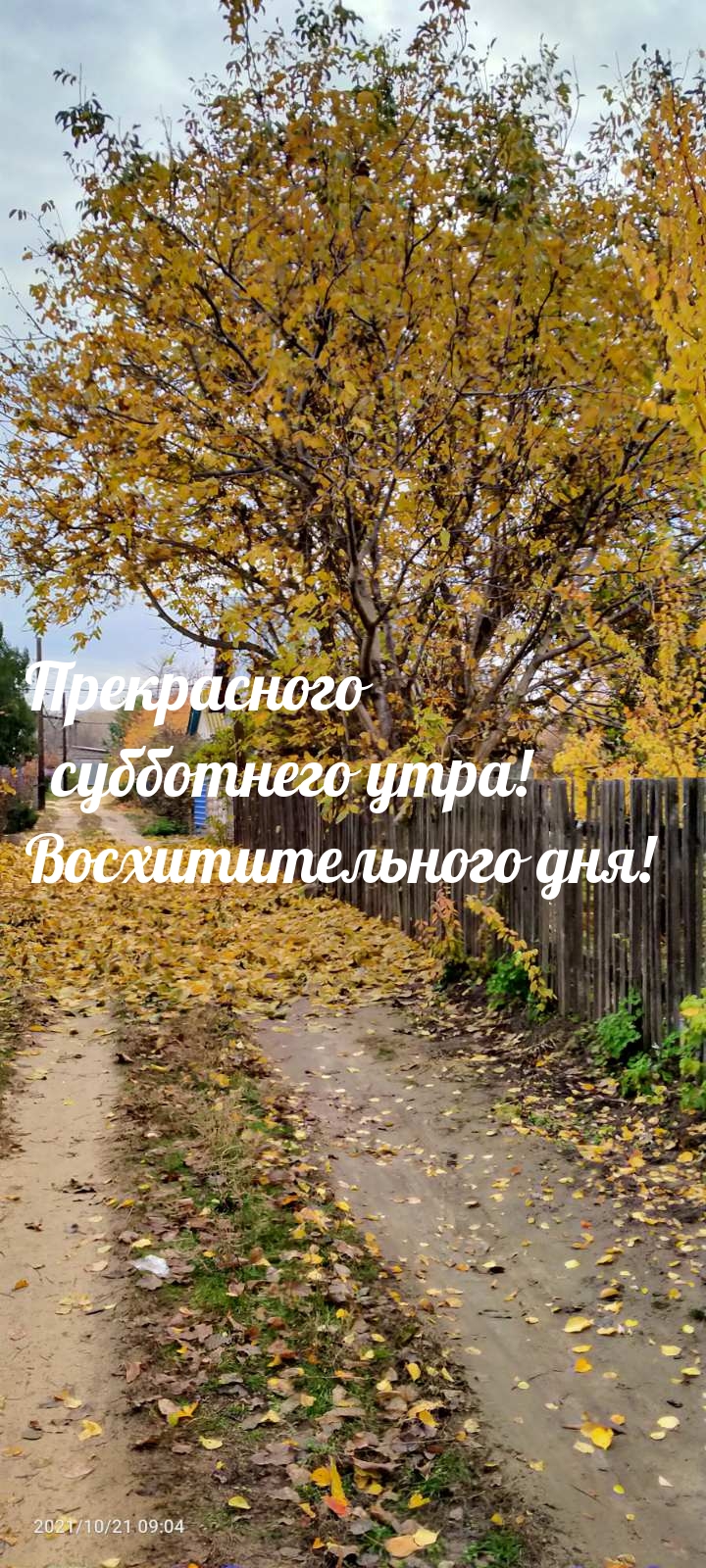 Прекрасного субботнего утра! Восхитительного дня!
