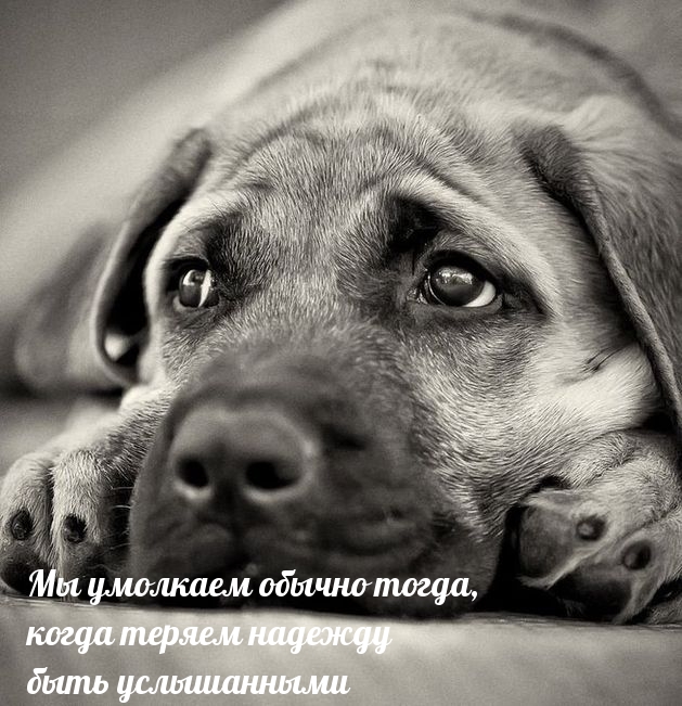 Мы умолкаем обычно тогда, когда теряем надежду быть услышанными