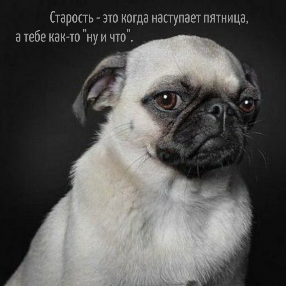 Старость — это когда наступает пятница
