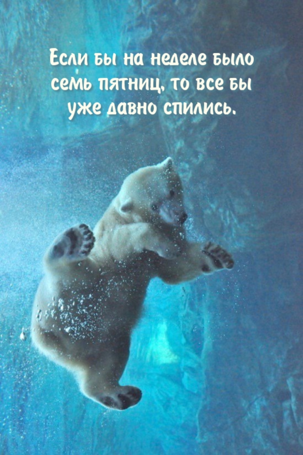 Если бы на неделе было семь пятниц