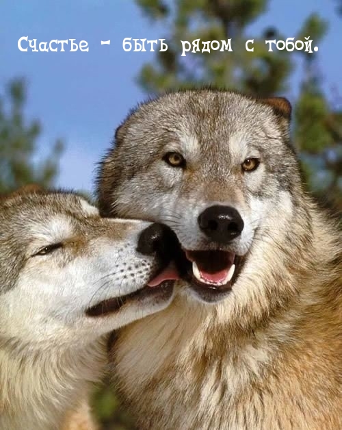 Счастье — быть рядом с тобой.