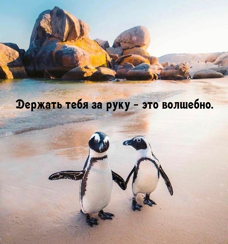 Держать тебя за руку — это волшебно.