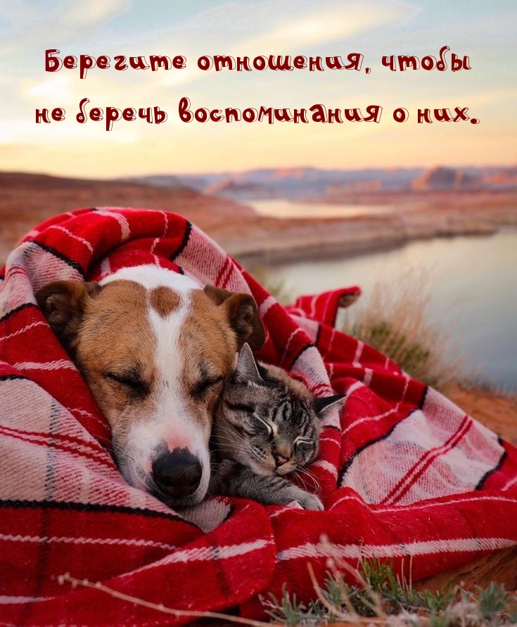 Берегите отношения, чтобы не беречь воспоминания о них.