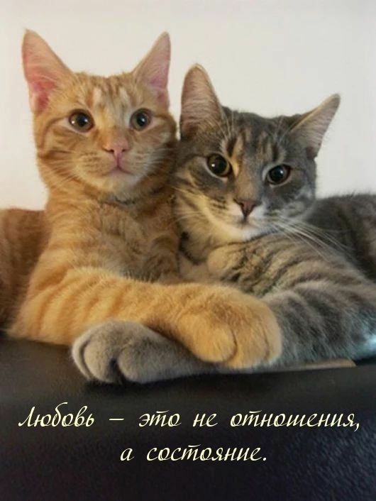 Любовь — это не отношения, а состояние.