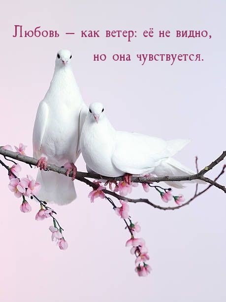 Любовь — как ветер: её не видно, но она чувствуется.