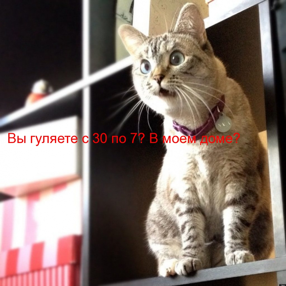 Вы гуляете с 30 по 7? В моем доме?