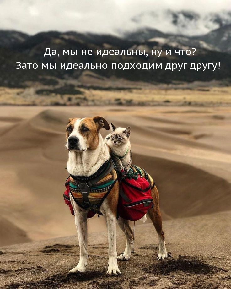 Да, мы не идеальны, ну и что?