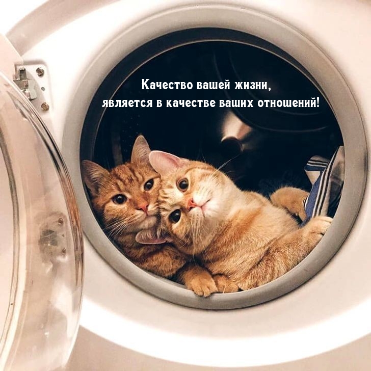 Качество вашей жизни, является в качестве ваших отношений!