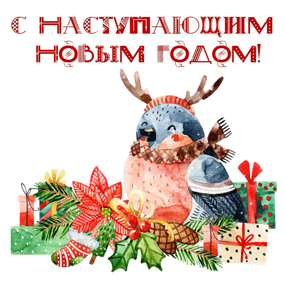 C наступающим Новым Годом!