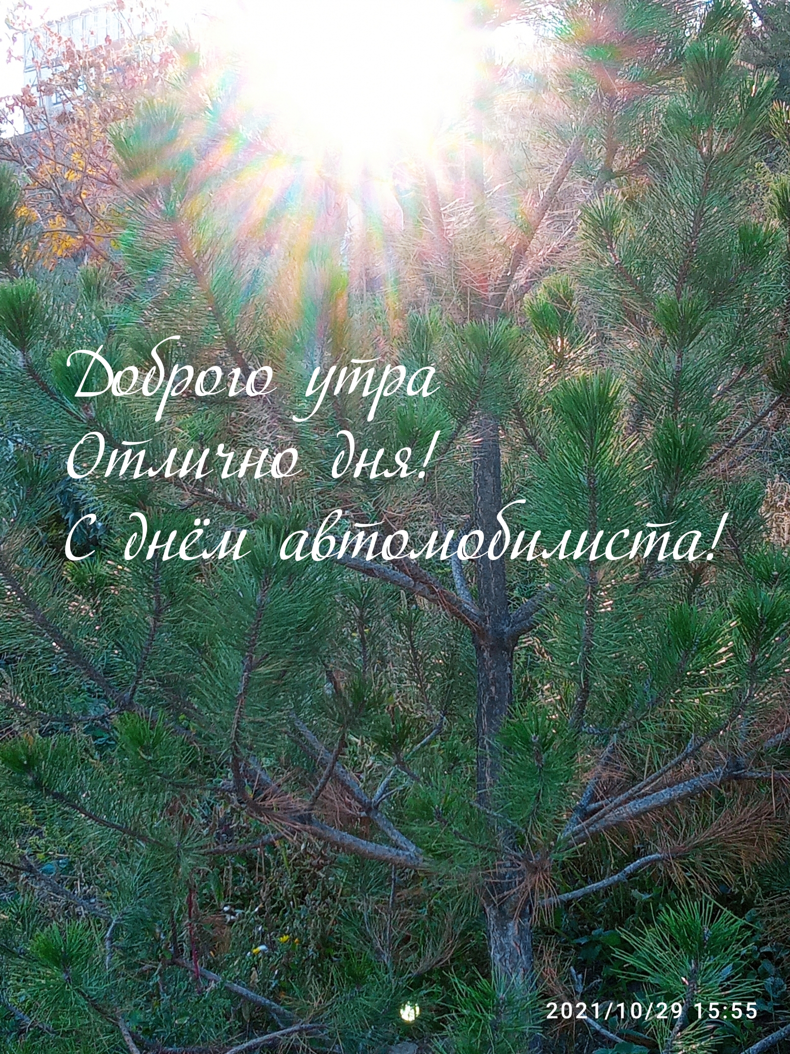 Доброго утра Отлично дня! С днём автомобилиста!