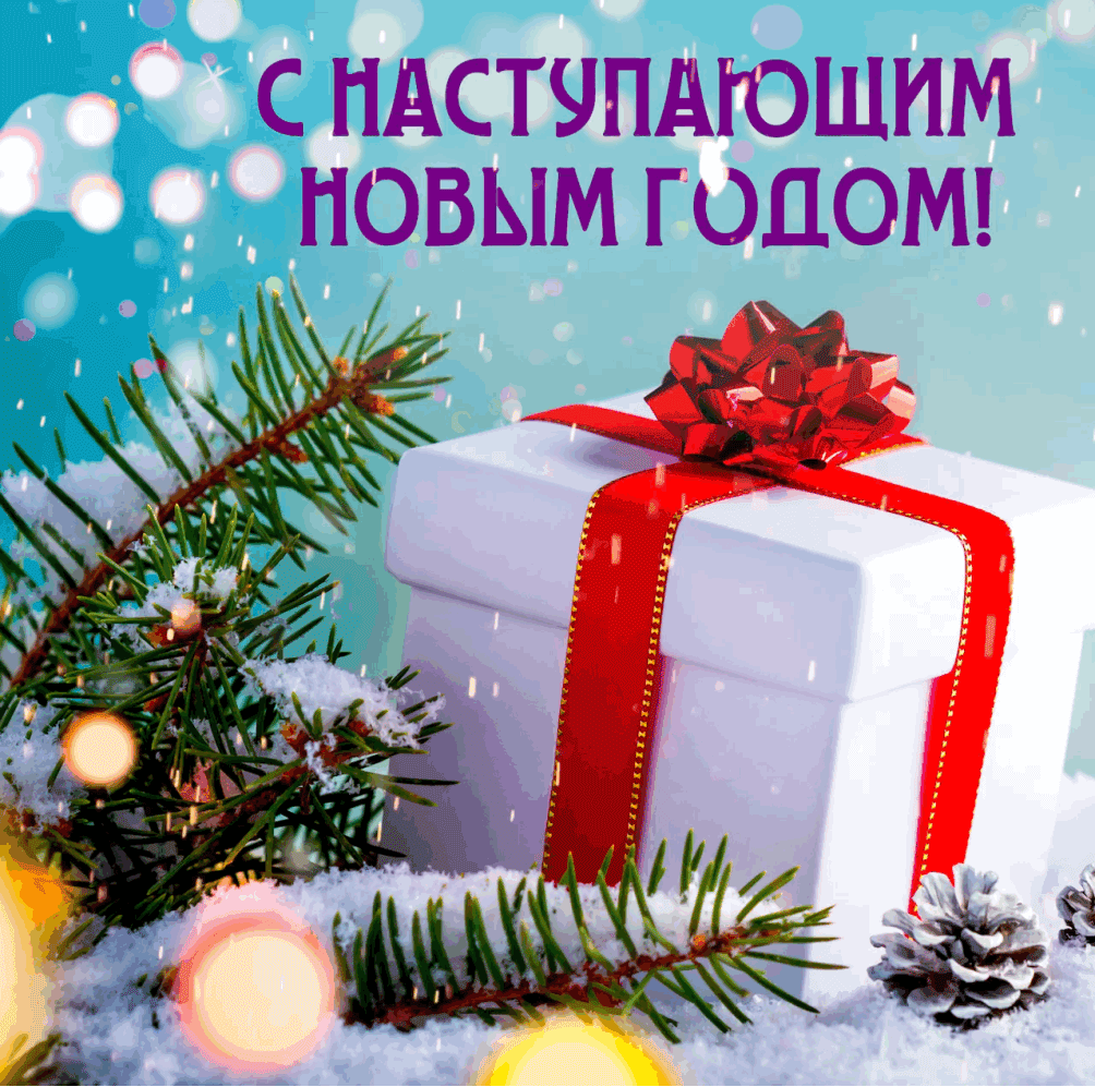 C наступающим Новым Годом!