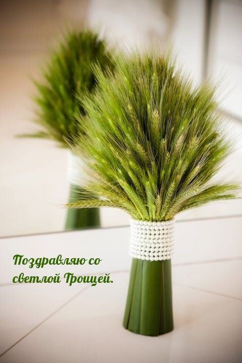Поздравляю со светлой Троицей.