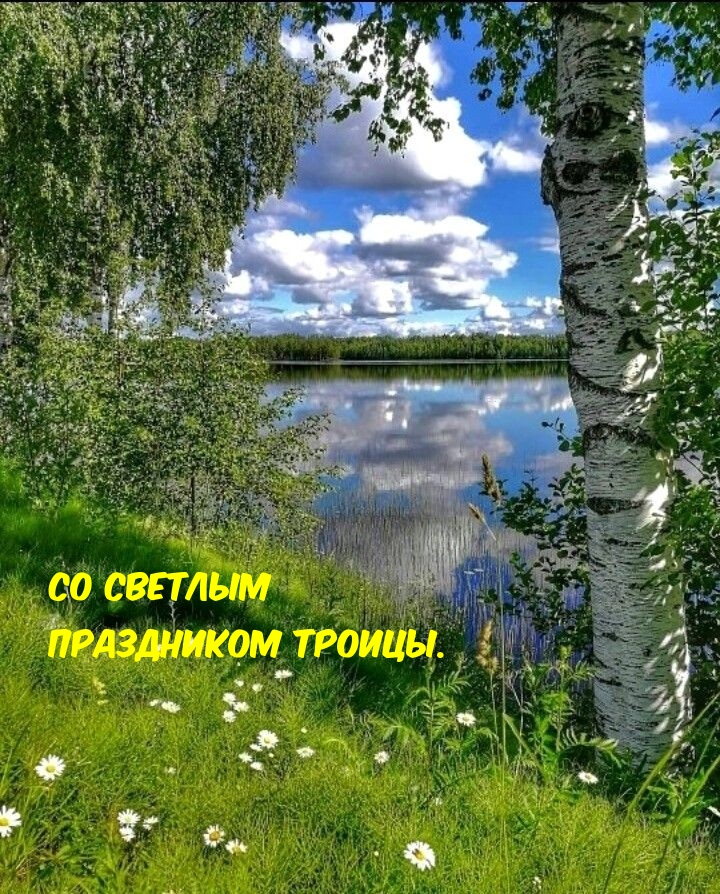 Со светлым праздником Троицы.