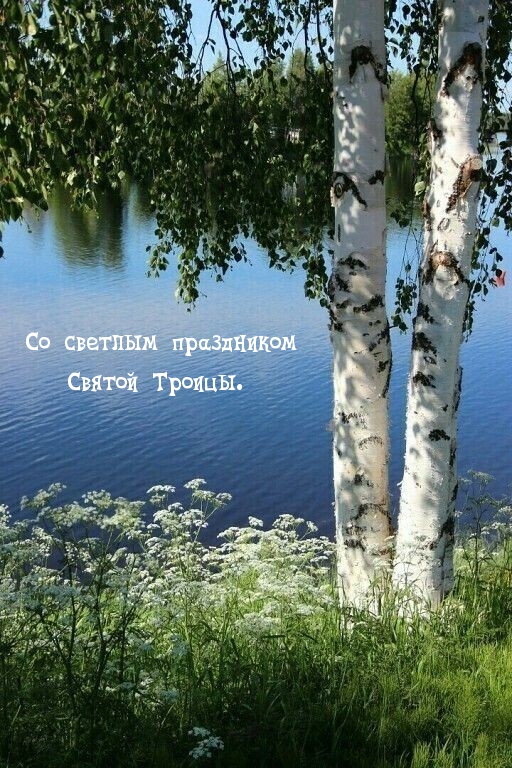 Со светлым праздником Святой Троицы.