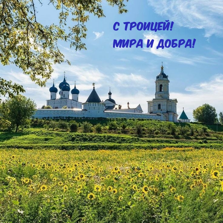 С троицей! Мира и добра!