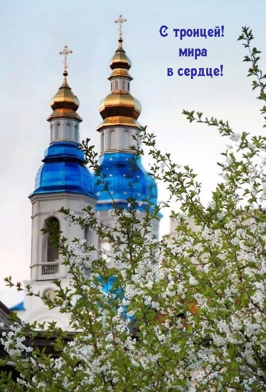 С троицей! мира в сердце!