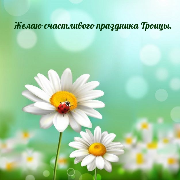 Желаю счастливого праздника Троицы.