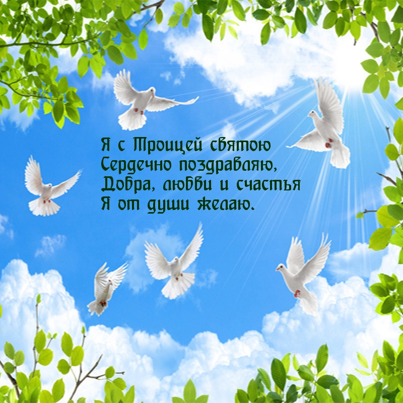 Я с Троицей святою сердечно поздравляю