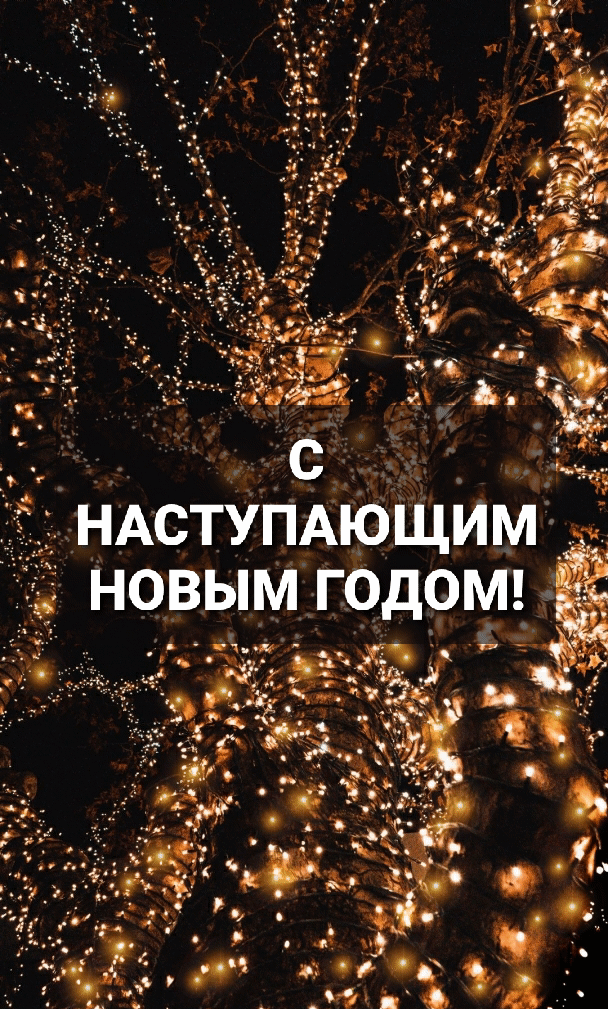 С НАСТУПАЮЩИМ НОВЫМ ГОДОМ!