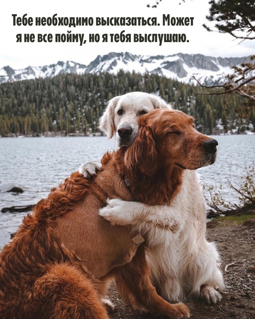 Может я не все пойму, но я тебя выслушаю.