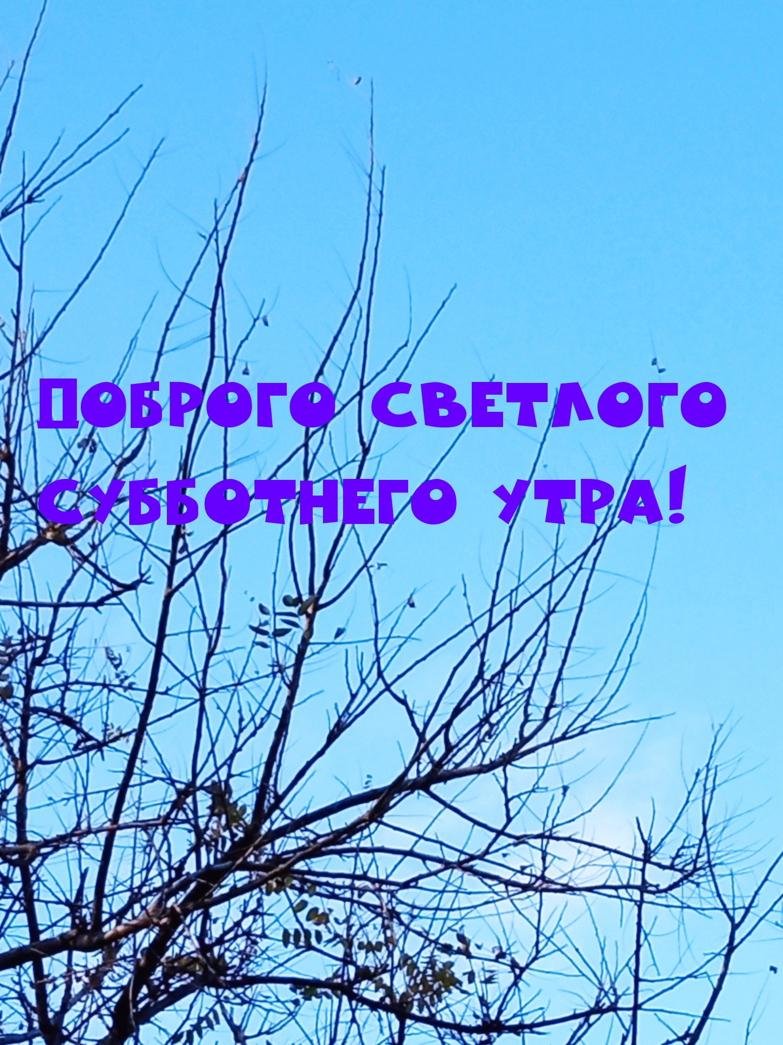 Картинки с надписями.  Доброго светлого Субботнего утра!.