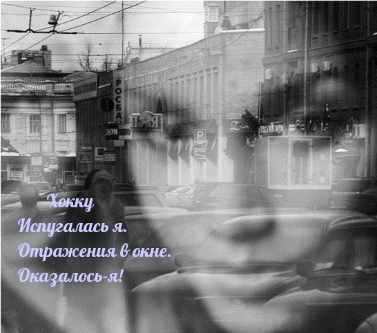 Хокку Испугалась я. Отражения в окне. Оказалось-я!