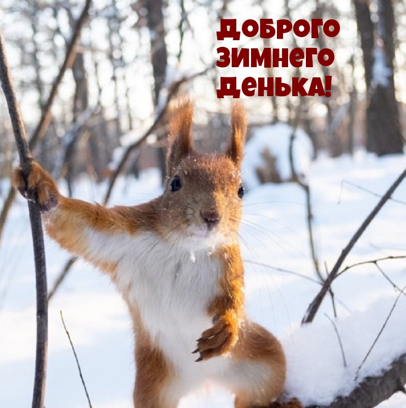 Картинки с надписями.  Доброго зимнего денька!.