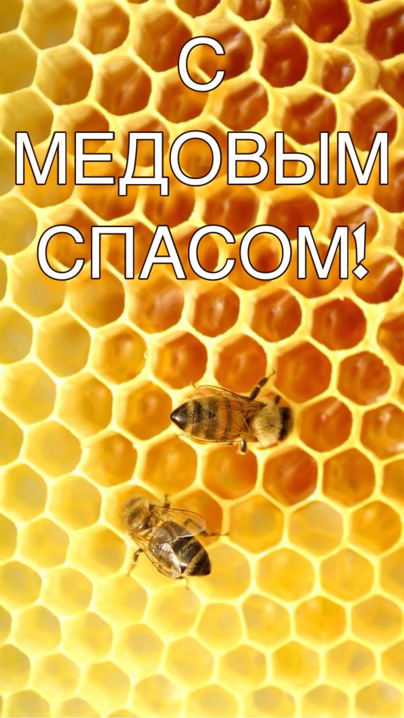 С МЕДОВЫМ СПАСОМ!