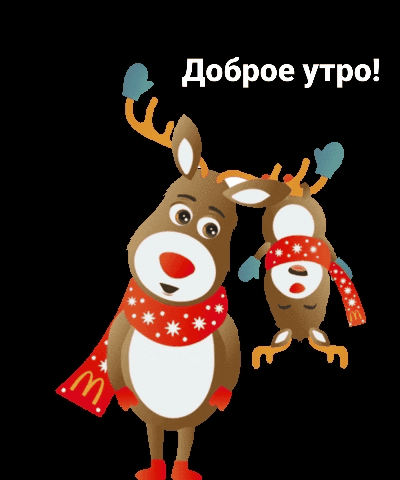 Доброе утро!