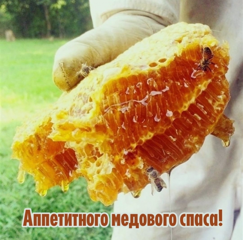 Аппетитного медового спаса!
