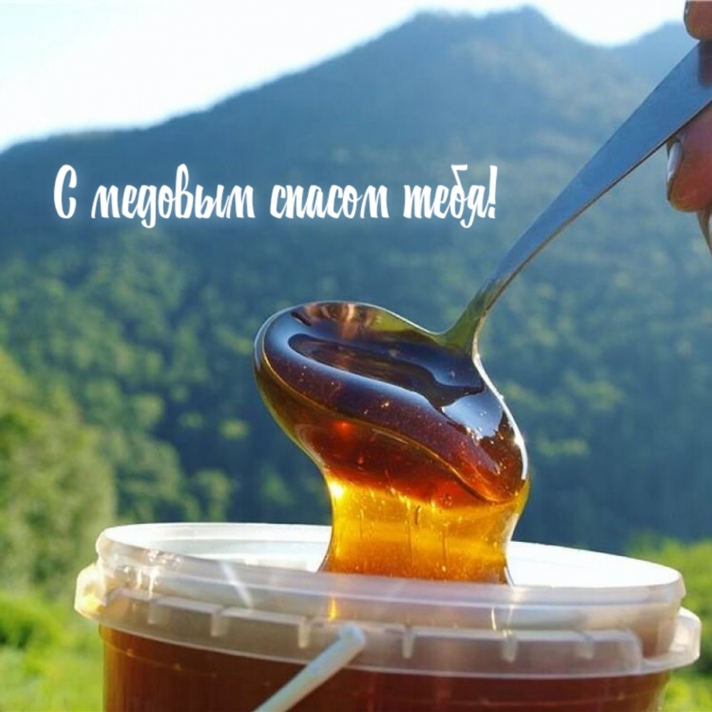 С медовым спасом тебя!