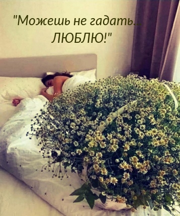«Можешь не гадать… ЛЮБЛЮ!»