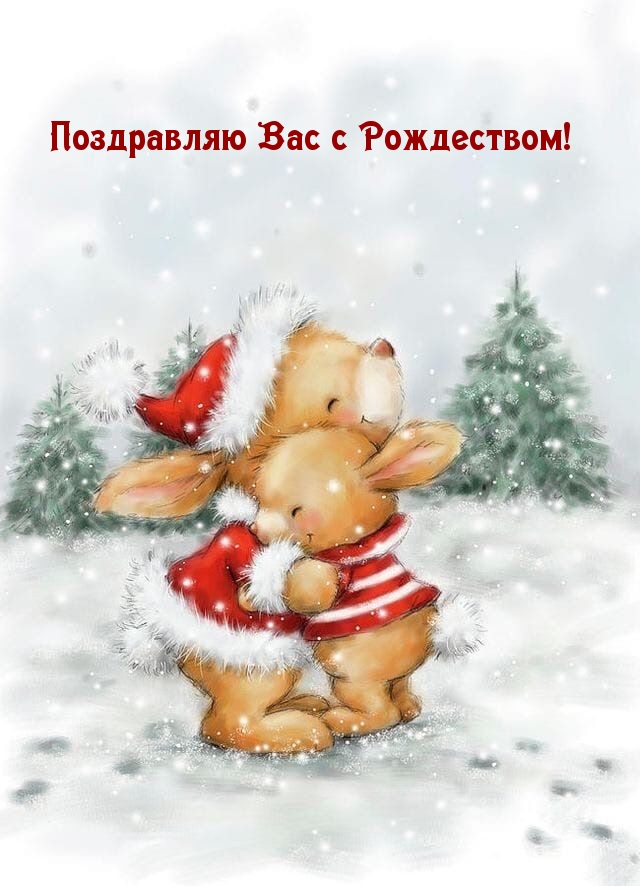Поздравляю Вас с Рождеством!