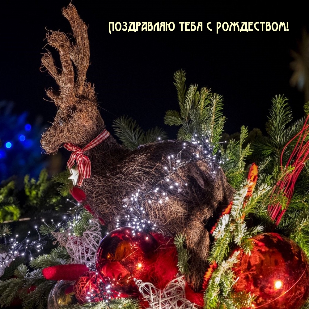Поздравляю тебя с Рождеством!