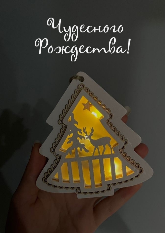 Чудесного Рождества!