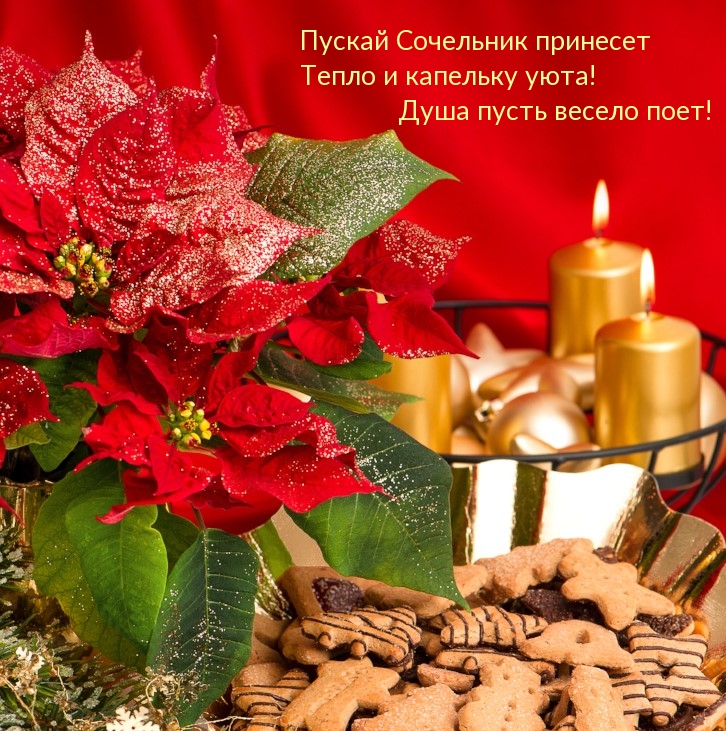 Пускай Сочельник принесет тепло и капельку уюта!