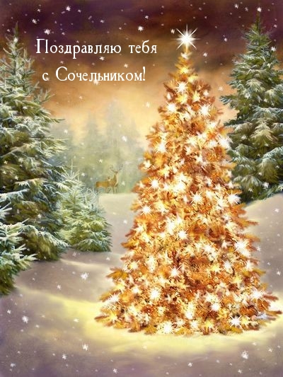 Поздравляю тебя с Сочельником!