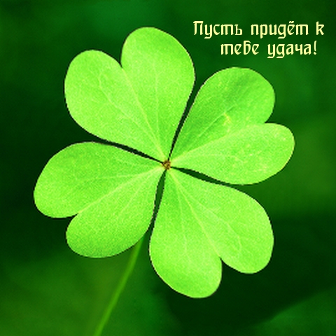 Пусть придёт к тебе удача!