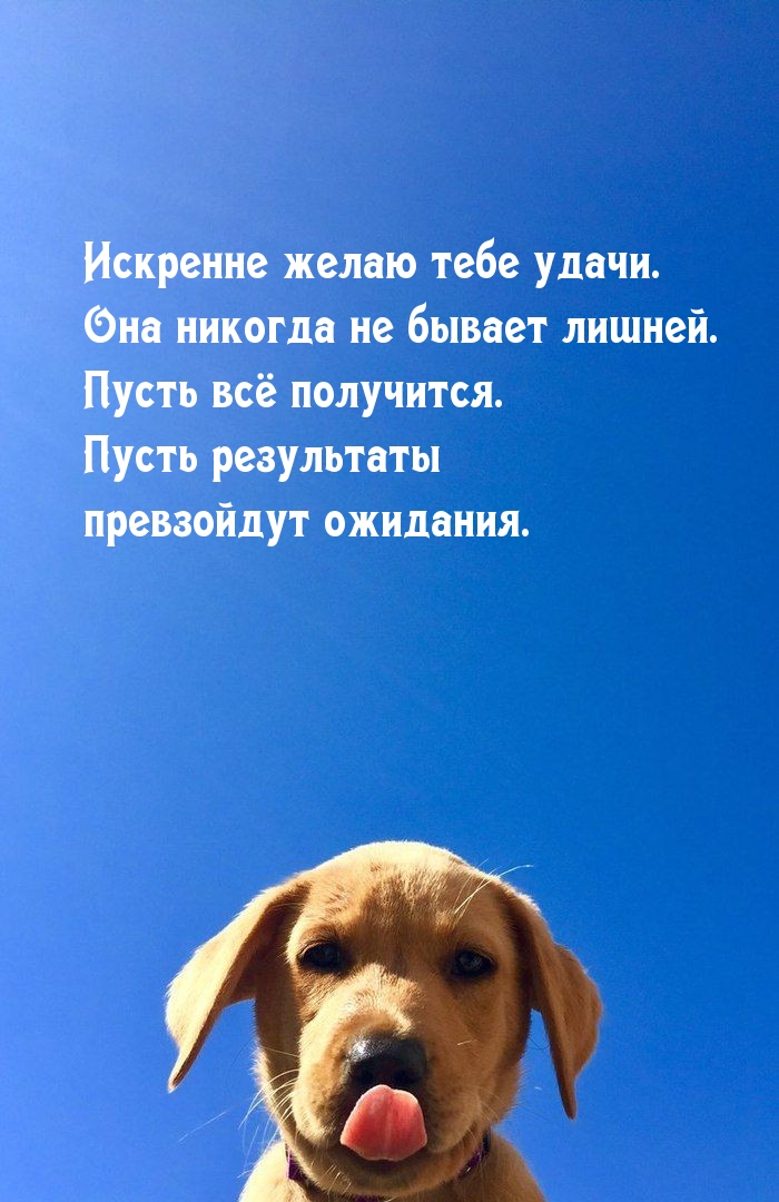 Искренне желаю тебе удачи.