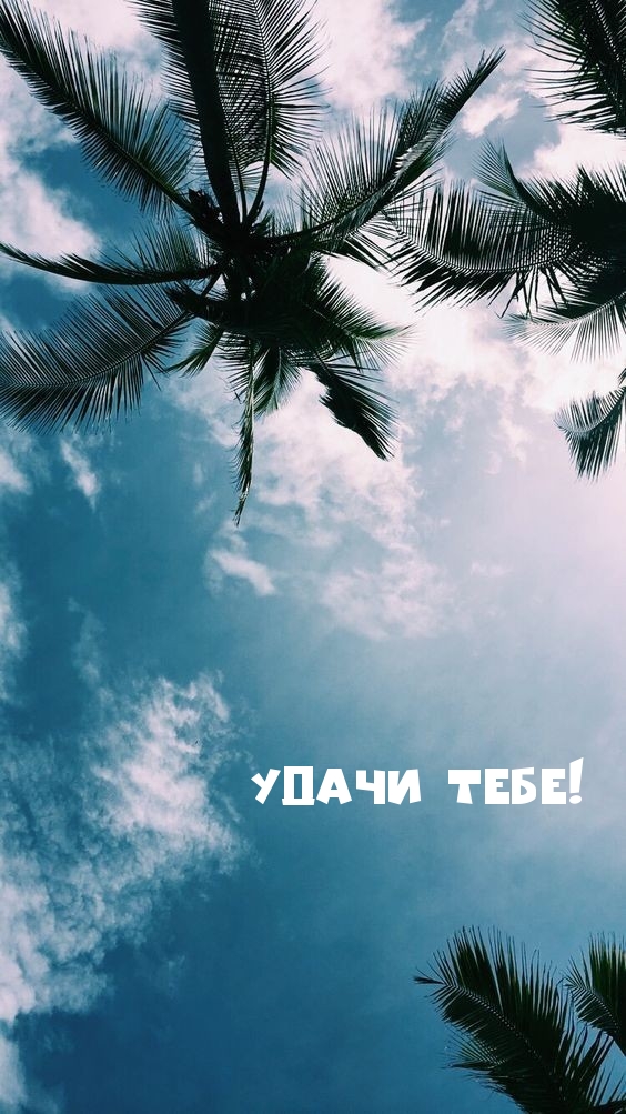 Удачи тебе!