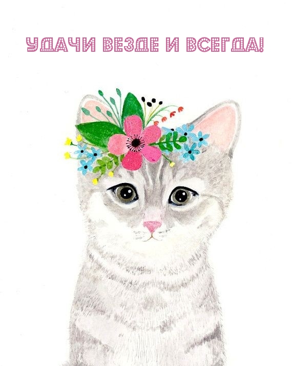Удачи везде и всегда!
